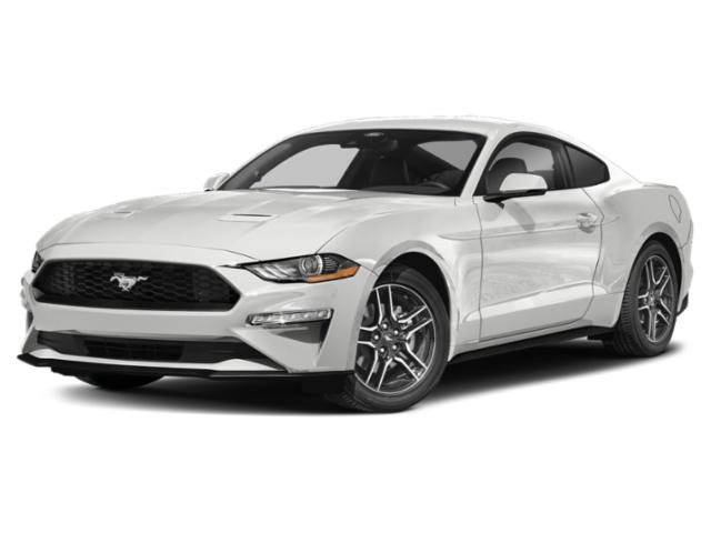 2022 Ford Mustang Image