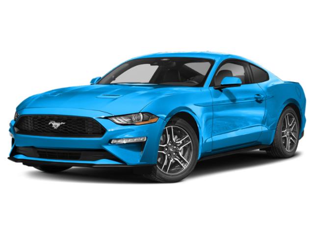 2023 Ford Mustang Image